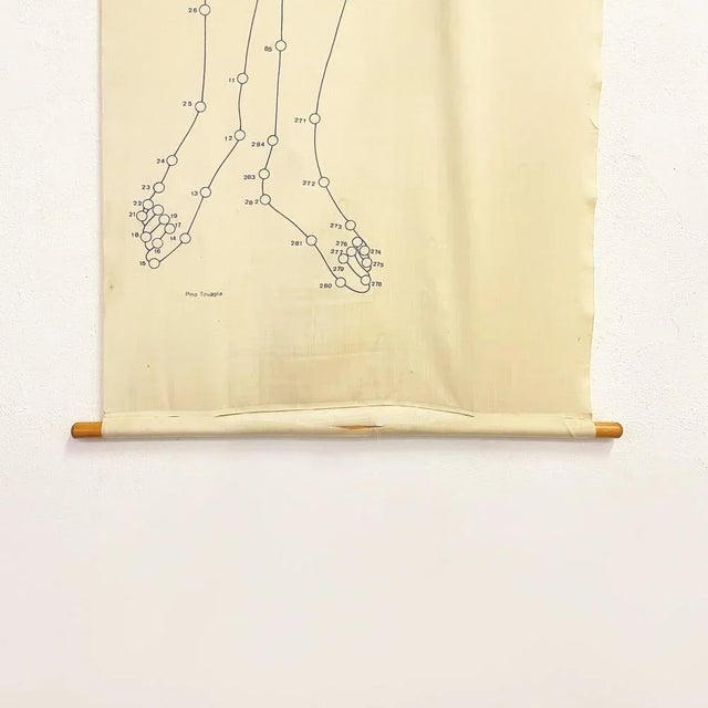 Italian Wall Print on Fabric of Botticellis Venus attributed to Pino Tovaglia, 1969 For Sale - Image 4 of 13