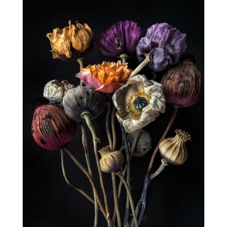 Elegy in Bloom, Contemporary Botanical Photograph by Michael Filonow For Sale