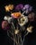 Elegy in Bloom, Contemporary Botanical Photograph by Michael Filonow For Sale