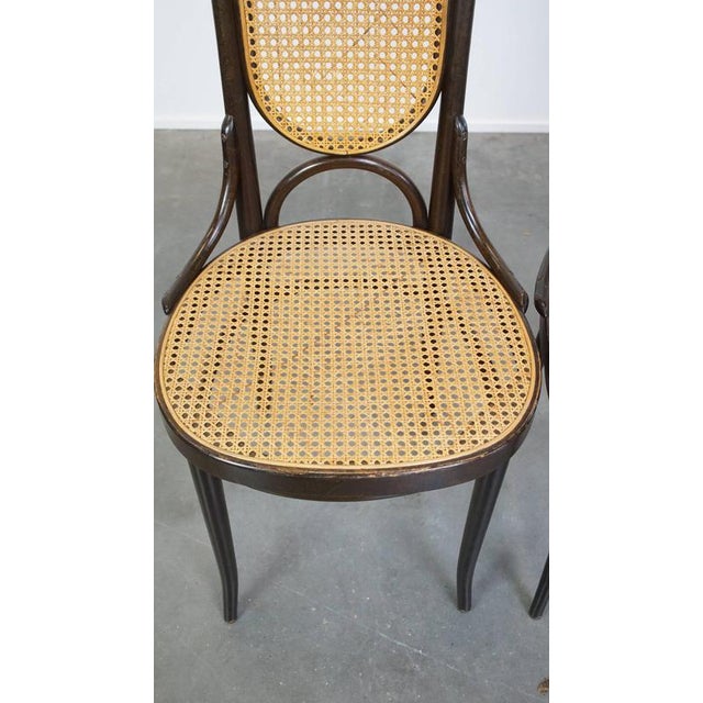 Wood Vintage Bentwood Chairs by Michael Thonet, Set of 4 For Sale - Image 7 of 18