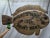 Carved Fish Trade Sign for "Beach House Inn, Brant Point" For Sale In Boston - Image 6 of 12