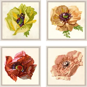Pignier, Flowerhead, Framed Artwork - Set Of 4
