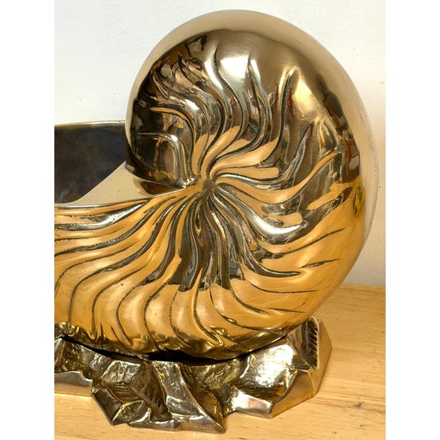 Metal Large Polished Brass Nautilus Shell Vase by Sarreid, Spain, Circa 1970s For Sale - Image 7 of 14