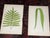 This set of twelve (12) authentic 19th century engravings on wood (sometimes referred to as "lithographs") depict...