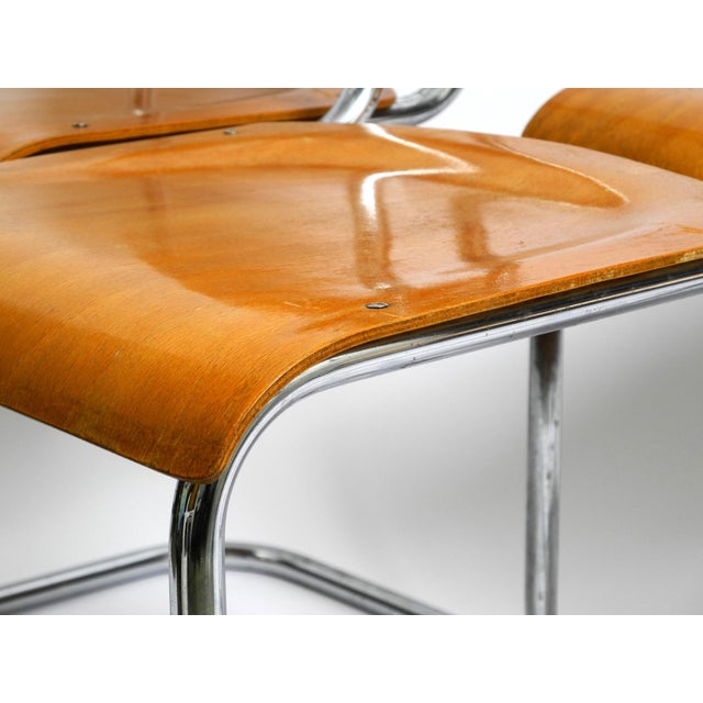 Bauhaus Tubular Steel Chairs by Mart Stam for Robert Slezak Czech, 1930s, Set of 4 For Sale - Image 6 of 18