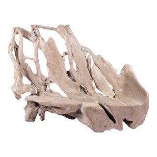 Modern Free Form Teak Root Bench 29 For Sale