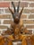 Rustic 19th Century Swiss Black Forest Hand Carved Wall Mounted Coat and Hat Rack For Sale - Image 3 of 12
