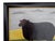 Matt Rix, The Black Ewe, 2000s, Oil on Board, Framed For Sale - Image 3 of 7