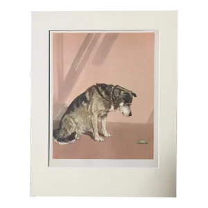 Mid 20th Century "A Pet Husky" Diana Thorne Matted Dog Print
