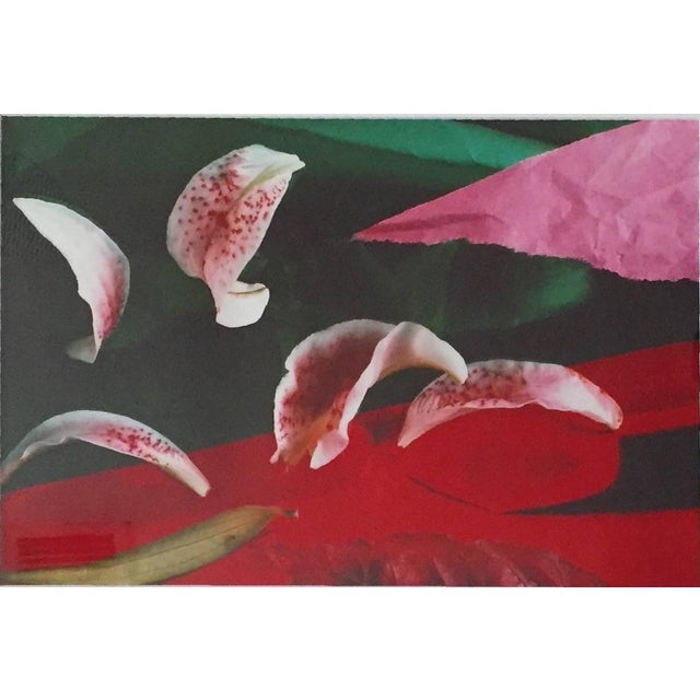 Harriet Gans, photographer who showed her work in New York galleries and museums A native of Manhattan, Ms. Gans was a...