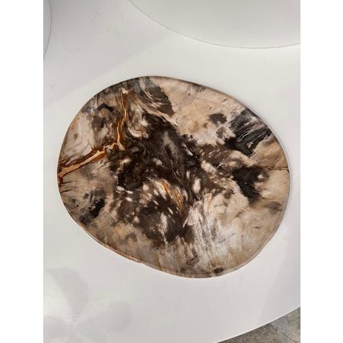 Brown Very Large Vide-Poche or Dish in Petrified Wood For Sale - Image 8 of 18