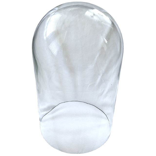 A classic oversized glass cloche with a timeless silhouette, perfect for creating elegant displays throughout the home....