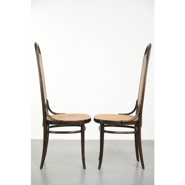 Vintage Long John Webbing Dining Chairs from Thonet, Set of 6 For Sale - Image 3 of 18