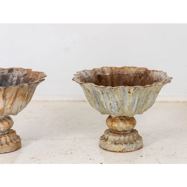 Metal Pair of Verdigris Painted Iron Tazzas or Urns, English Late 20th Century For Sale - Image 7 of 10