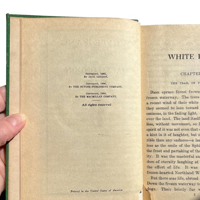 Antique Jack London White Fang Seven Seas Edition Collier Illustrated c.1906 For Sale - Image 13 of 15