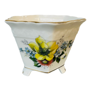 Hand Painted English Bone China Flower Pot