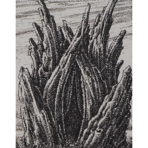 François Houtin, 2nd Nymphaeum, Etching For Sale - Image 3 of 4