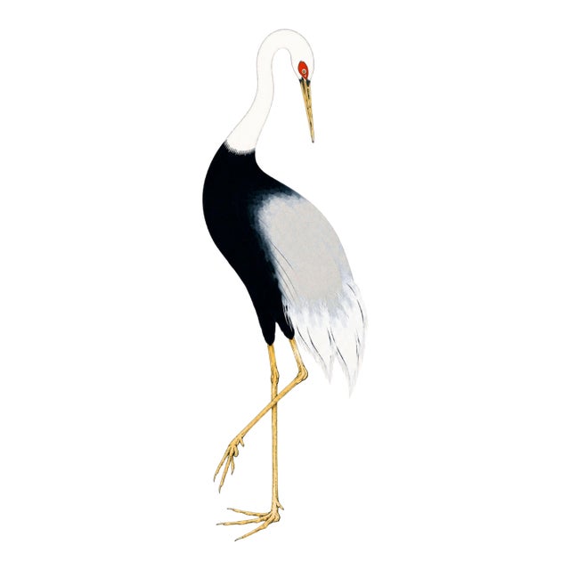 Japanese Crane Study Ii, Original Print, 24" X 36" For Sale