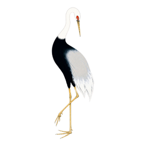 Japanese Crane Study Ii, Original Print, 24" X 36"