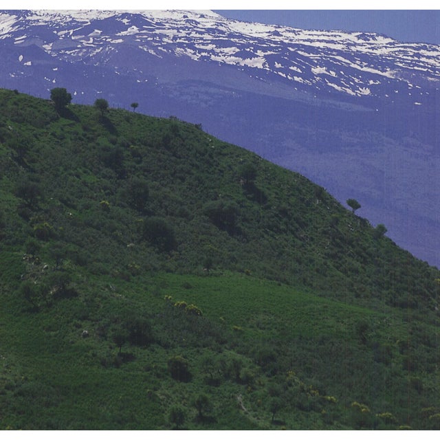 Archiv Kiedrowski View of Mount Etna, Sicily, 2009 For Sale - Image 4 of 4