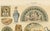 Antique Chromolithographs of Ceramics Through the Ages, 1898, Set of 2 For Sale - Image 12 of 13