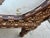 Antique White Early 20th Century Levantine-Style Bone-Inlay Daybeds - Pair For Sale - Image 8 of 9