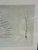 Early 21st Century Natural Curiosities William Forsyth “Peach” 1802 Horticultural Botanical Print For Sale - Image 5 of 10