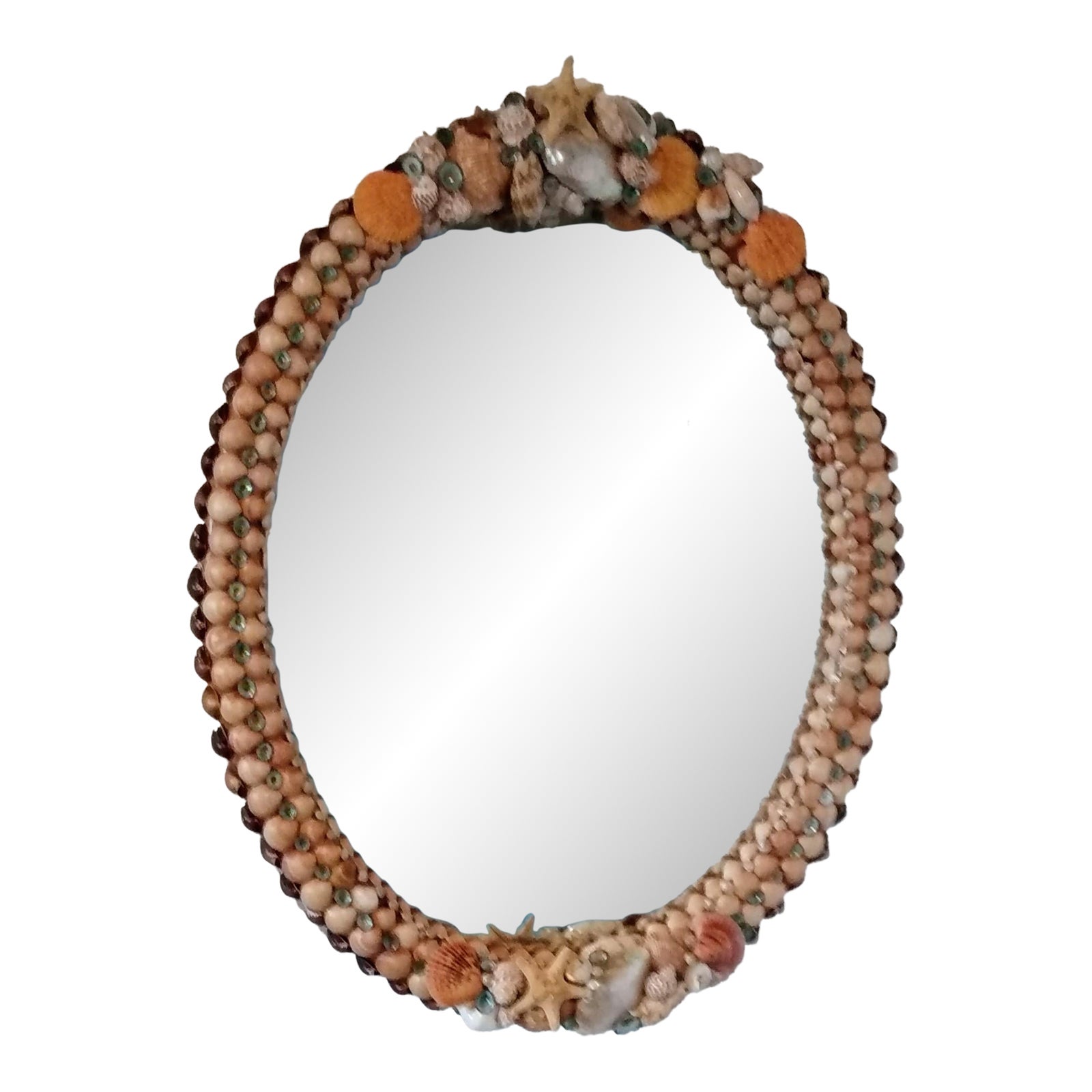 Oval Orange Sea Shell Mirror | Chairish