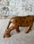 Mid-Century Modern Hand-Carved Kenyan Wooden Leopard For Sale - Image 3 of 7