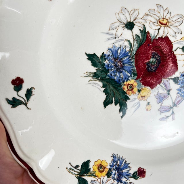 20th Century Agreste Dinner Plates from Sarreguemines, 1970s, Set of 6 For Sale - Image 11 of 13