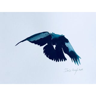 "Flight 11" Contemporary Minimalist Bird Ink Drawing For Sale