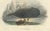 After Édouard Traviès, The Right Whale, 1840, Hand-Colored Engraving For Sale - Image 4 of 9