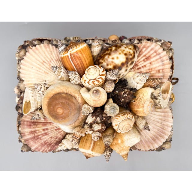 Shell Large 1970s Nautical Shell-Encrusted Box – Vintage Coastal Shellcore Decor For Sale - Image 7 of 12