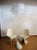 Italian Murano Three-Tier 48 Transparent Felci Glass Chandelier For Sale - Image 9 of 11