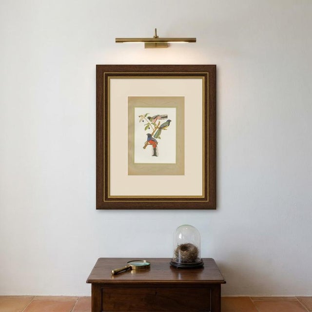 After Descourtilz, Trogons and Jays, 1944, Paper For Sale - Image 10 of 12