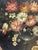 Still Life with Bouquet of Flowers, 1800s, Oil Painting on Canvas, Framed For Sale - Image 7 of 13