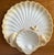 Tan Vintage Italian The Mane Lion-Shell Chip & Dip Platter For Sale - Image 8 of 8
