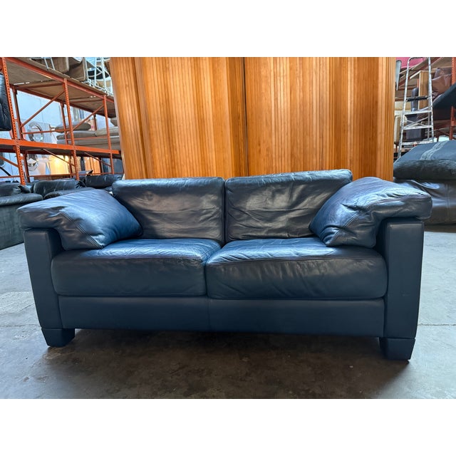 Animal Skin Blue DS71 Sofa from de Sede, 1980s For Sale - Image 7 of 7