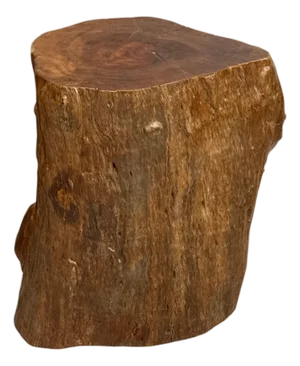 Mid 20th Century Large Free-Form Brown Rustic Tree Trunk Side Pedestal Table
