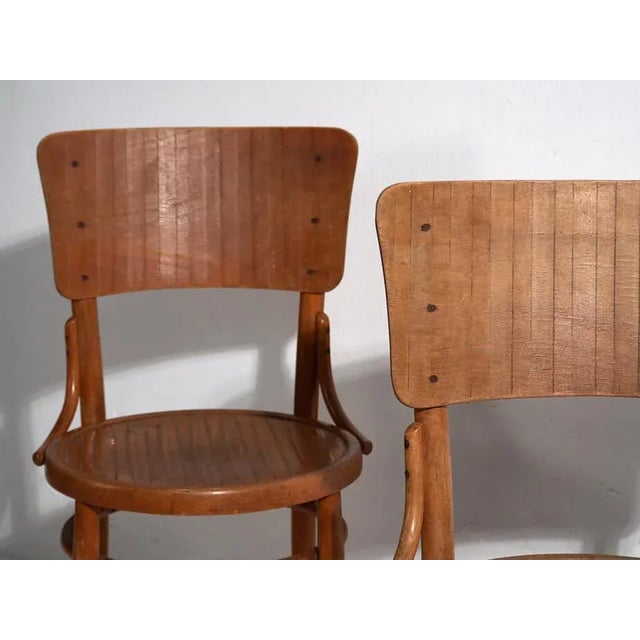 Set of Antique Chairs from Thonet, 1900 For Sale - Image 5 of 13