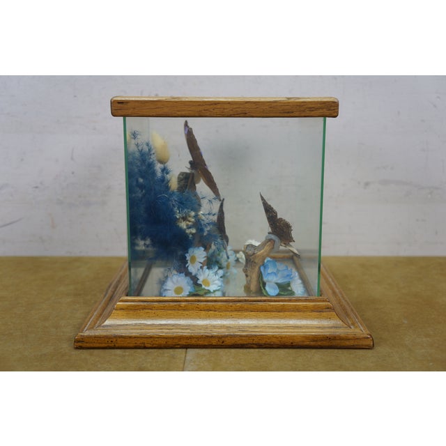 Vintage Floral Butterfly Taxidermy Apothecary Shadow Box Display Case Specimen For Sale - Image 9 of 13