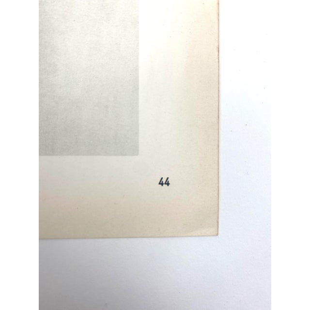 Photorealism 1940s Framed Botanical Blossfeldt Print - No. 44 For Sale - Image 3 of 5