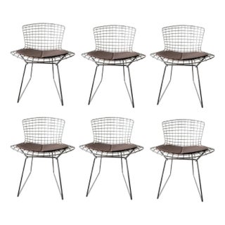 Early Harry Bertoia Model 420 Side Chairs- A Set of 6 For Sale
