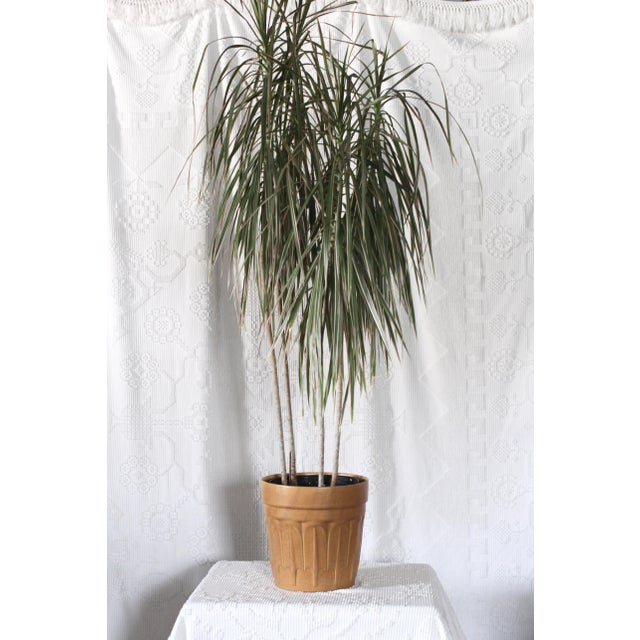 Ceramic Very Large Yellow Haeger Planter From the 1960s For Sale - Image 7 of 11