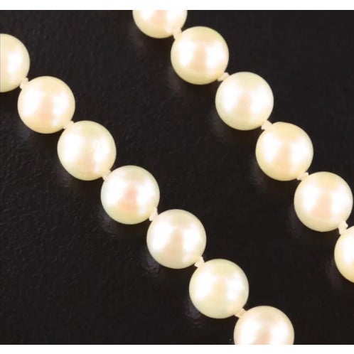 Contemporary Pearl Necklace With 14k White Gold Clasp For Sale - Image 3 of 4