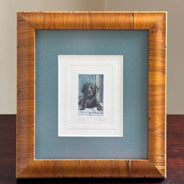 Italian Watercolor Etching of Labrador Puppy by Giorgio Ferrari (B. 1936) For Sale - Image 17 of 18
