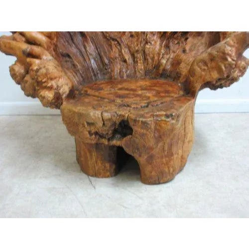 1960s Vintage Mid Century Free Form Live Edge Root Lounge Chair For Sale - Image 5 of 11
