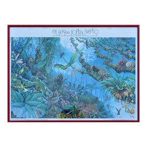 1980s Framed Print of "The Tropical Cloud Forest" of Costa Rica After Deirdre Hyde