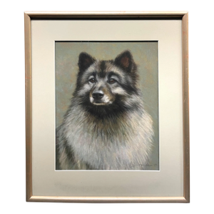 Pastel on Paper of a Husky