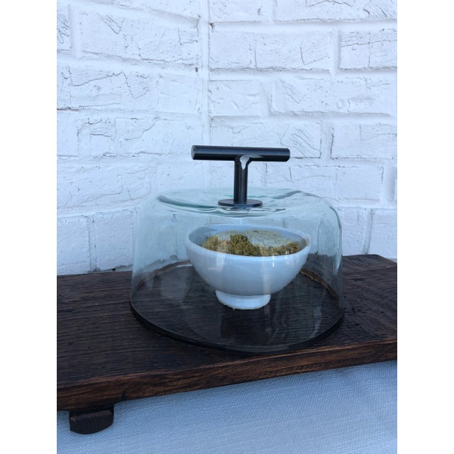 Contemporary etuHome Brasserie Glass Dome For Sale - Image 4 of 5